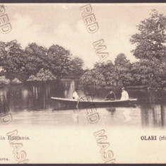 4094 - OLARI, Olt, raul Burlui, Litho, Romania - old postcard - unused