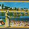 CPIB 19047 CARTE POSTALA - EFORIE SUD, MOZAIC