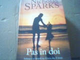 Nicholas Sparks PAS IN DOI ( Rao, 2017 )