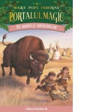 Pe urmele indienilor. Portalul Magic nr. 18 - Mary Pope Osborne, Laura Poanta