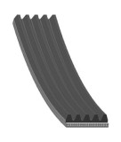 Febi Bilstein Curea transmisie cu caneluri