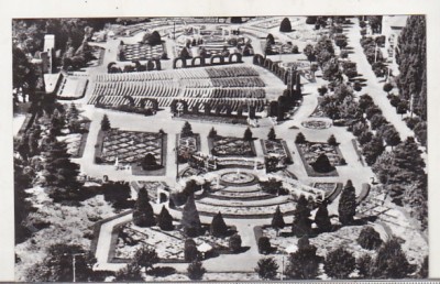bnk cp Timisoara - Parcul Trandafirilor - necirculata foto