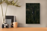 Tablou Canvas, "Cascada ascunsă &icirc;n pădurea deasă", Cascadă, Pădure, Brazi, Roci, Natură, 26 x 39 cm, CMCLASS