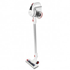 Aspirator Matura si de Mana Ciclonic Cecotec Conga Thunderbrush 670 Immortal 130W 22 2V foto