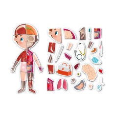 Joc magnetic - Descopera corpul uman PlayLearn Toys