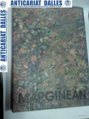 VIOREL MARGINEAN - PICTURA / DESEN / OBIECTIV - 2004 (album format mare) foto