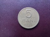 Moneda 5 bani 1955 R.P.R.