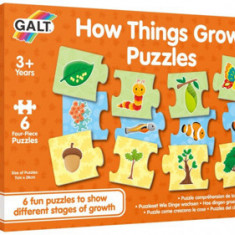 Puzzle Galt pentru copii, evolutia vietuitoarelor, JGC1005365