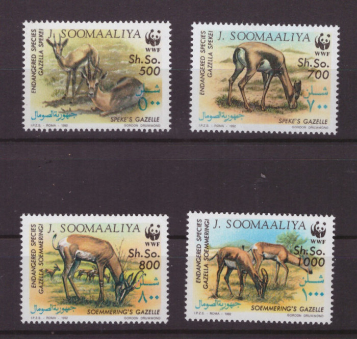 111-WWF SOMALIA 1992 -serie de 4 timbre nestampilate,tematica animale,MNH