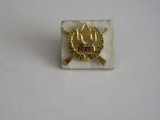 QW9 N3 54 - insigna - steag - culori si insemne nationale - Ungaria - Z V V S, Europa
