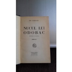 NUCUL LUI ODOBAC - EMIL GARLEANU