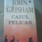 John Grisham - CAZUL PELICAN ( Rao. 2003 )