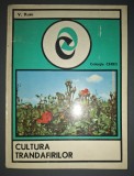 Cultura Trandafirilor - Elena Kivaran, Razvan - 42 pagini, 1935 - Agricultura