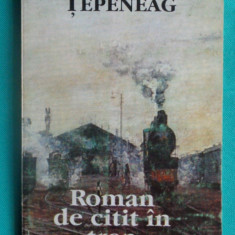 Dumitru Tepeneag – Roman de citit in tren ( prima editie )