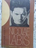 Nicolae Labis - Lucian Raicu - Biografia poetului, Editura Eminescu 1977, carte biografica