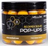 Pop Up Nash Scopex Squid 2024, Yellow, 12mm, 75g