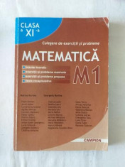 Matematica - Culegere de exercitii si probleme pentru clasa a XI-a - profil M1 editura Campion foto