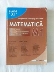 Matematica - Culegere de exercitii si probleme pentru clasa a XI-a - profil M1 editura Campion foto