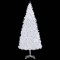 Foto  - 4