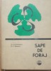 SAPE DE FORAJ D. CONSTANTINESCU