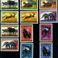 233-RUANDA URUNDI 1959-Fauna-Animale -Serie completa de 12 timbre nestamp MNH