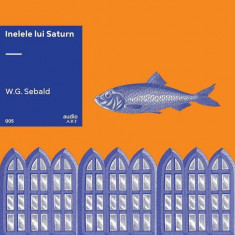 Inelele lui Saturn | vinil audiobook - Paperback - W.G. Sebald - Art