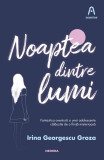 Noaptea dintre lumi - Irina Georgescu Groza