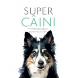 Super caini. Povesti adevarate despre curajul canin - Ben Holt, Didactica Publishing House