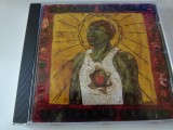 The Neville brothers, s