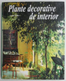 Plante decorative de interior &ndash; Ursula Kruger