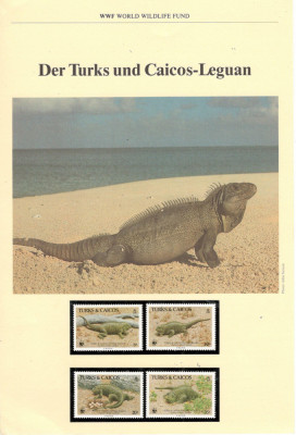 Turks and Caicos.1986 WWF Protejarea naturii-Iguana serie,FDC,maxime DZ.23 foto