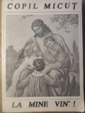 COPIL MICUT, LA MINE VIN&#039;! FLORI DE SUFLET - POEZIE CRESTINA PENTRU COPII-EDITIE INGRIJITA DE AURELIA CIUDI-266130