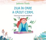 Ziua In Care A Cazut Cerul. Cum Sa-Ti Recapeti Echilibrul,Juliette Ttofa - Editura For You