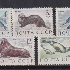 RUSIA U.R.S.S.1971FAUNA MARINA MI. 3913-3917 MNH