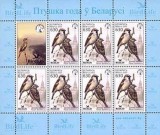 Belarus 2003 - Păsări, minicoala neuzata