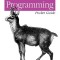 Extreme Programming Pocket Guide
