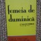 FEMEIA DE DUMINICA-CARLO FRUTTERO, FRANCO LUCENTINI