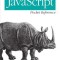 JavaScript Pocket Reference
