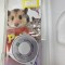 Petz PSP