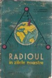 Cumpara ieftin Radioul in zilele noastre - M. E. Jabotinski