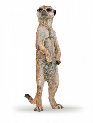 PAPO FIGURINA SURICATA foto