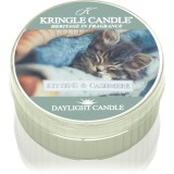 Kringle Candle Kittens &amp; Cashmere lum&acirc;nare 42 g