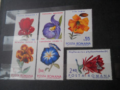 1971 lp 767 flori din gradni botanice foto