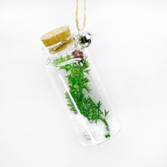 Decoratiune Craciun - Glass Bottle, crenguta verde | Everbright Gifts