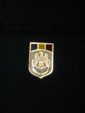 QW9 N2 35 - insigna - militar - Armata Romaniei