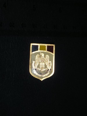 QW9 N2 35 - insigna - militar - Armata Romaniei foto