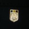 QW9 N2 35 - insigna - militar - Armata Romaniei