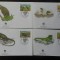 Anguilla-WWF,FDC iguane -set complet