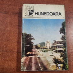 Hunedoara.Monografie