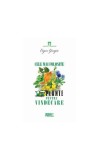 Cele mai folosite 17 plante pentru vindecare - Paperback brosat - Eugen Giurgiu - Meteor Press